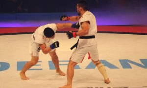 Japan taekwondo